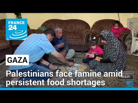 Palestinians face famine amid persistent food shortages in Gaza • FRANCE 24 English