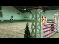 Show jumping horse GULARA