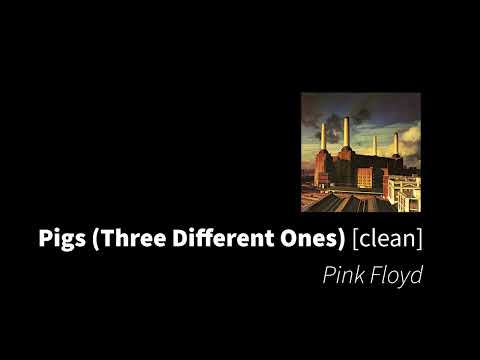 Pigs (Three Different Ones) | Pink Floyd [clean - no beeps]