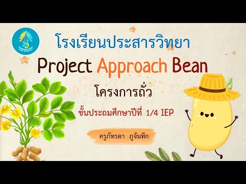 ProjectApproachเรื่องถั่วป.