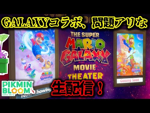 【ピクミンブルーム】GALAXYコラボ、問題アリな生配信！【Pikmin Bloom】【生配信】