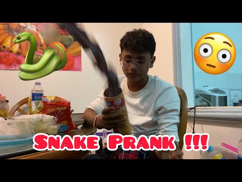 SnakePrank!!!SoScary