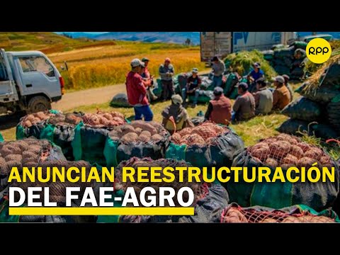 Ejecutivo reestructurará FAE-Agro para flexibilizar crédito a agricultores