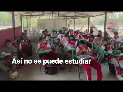 Así la calidad de la educación: toman clases en un “gallinero” en secundaria de Chiapas