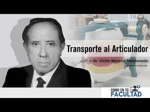 ?Transporte al Articulador | Dr. Víctor Moreno Maldonado