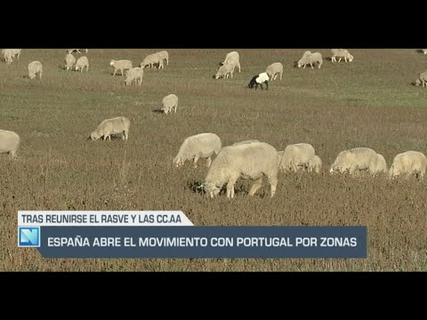 El Campo | España abre el movimiento con Portugal por zonas | 20/09/24