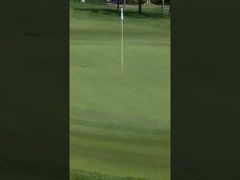 #김아림 2025 시즌 개막전 나이스 어프로치!!  #lpga #golf #골프