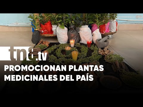 Presentan manual sobre plantas medicinales de uso popular en Nicaragua