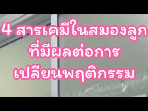 4สารเคมีในสมองลูกที่มีผลต่อกา