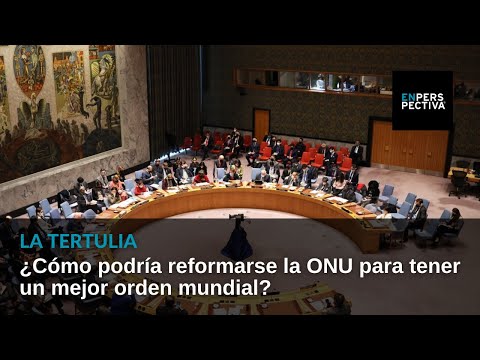 ¿Cómo podría reformarse la ONU para tener un mejor orden mundial?
