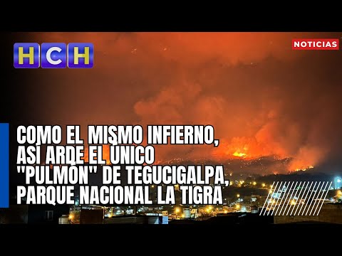 Como el mismo infierno, así arde el único pulmón de Tegucigalpa, Parque Nacional La Tigra