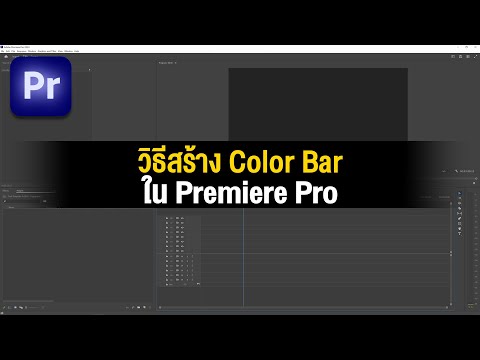 วิธีสร้างColorBarในPremier