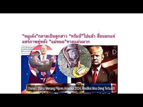 🦛MooDeng💥สื่อนอกฮือฮา‼️หมูเด้