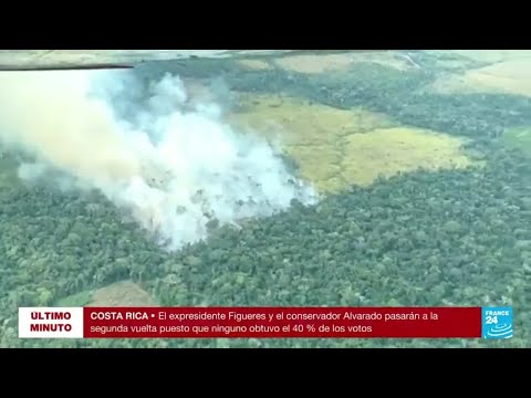 En Colombia, incendios forestales han consumido cerca de 15.000 hectáreas