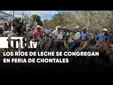 Ganadería y Ríos de Leche en Chontales: Así camina la vistosa feria