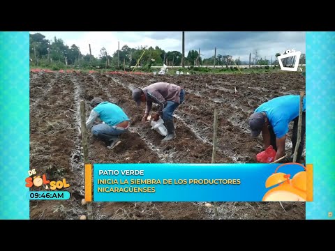 Ciclo agrícola de Nicaragua: siembra de primera