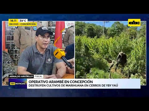 Operativo Arambé en Concepción: destruyen cultivos de marihuana en cerros de Yby Yaú