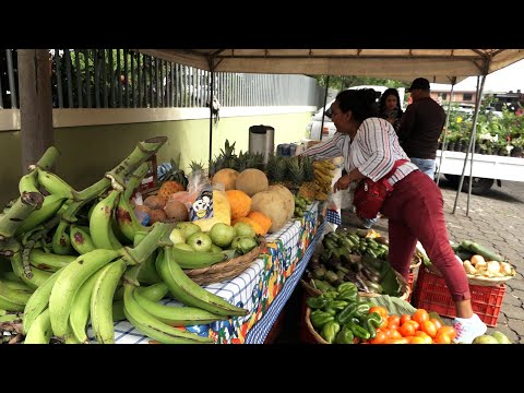 Pequeños agricultores de Managua ofertan sus productos a buenos precios