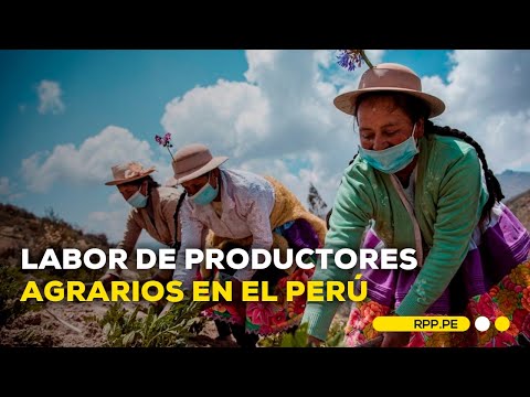 Ministerio de Desarrollo Agrario y Riego destaca la labor de los productores agrarios