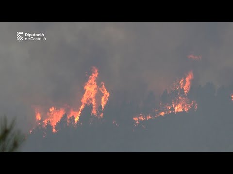 Más de 450 efectivos trabajan en la extinción del incendio de Villanueva de Viver