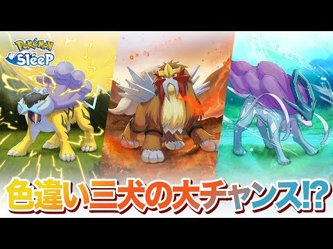 【ポケモンスリープ】ライコウ・エンテイ・スイクンイベントまで約3週間！！