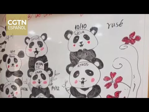 Profesores y alumnos del Instituto Confucio de Río Grande del Sur sueñan con un complejo panda