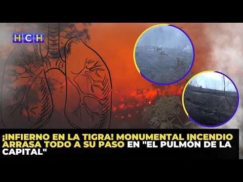 ¡Infierno en La Tigra! Monumental incendio arrasa todo a su paso en El Pulmón de la Capital