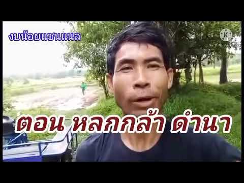 ไปหลกกล้าเกือบได้ฆ่าวัวครับ ไปหลกกล้าเกือบได้ฆ่าวัวครับ