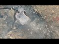 المقاومة الوطنية تدك مواقع مليشيا الحوثي في البرح وتكبّدها عشرات القتلى والجرحى بينهم قيادات