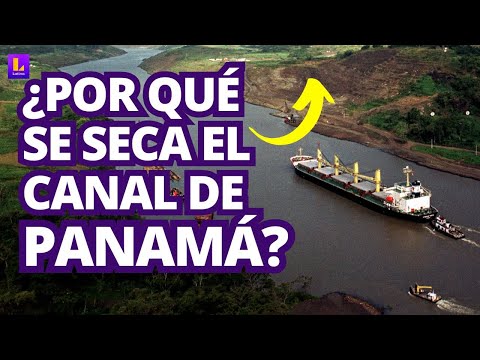 El canal de Panamá se seca: ¿por qué sucede, seguirá así en 2024?