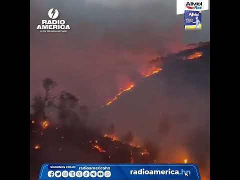 Incendio consume hectáreas de bosque en La Tigra