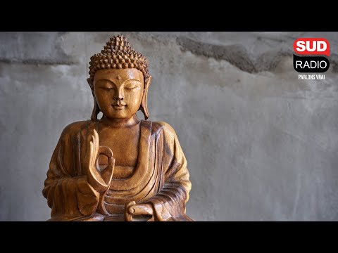 Anniversaire de Bouddha - La chronique de Guy Carlier