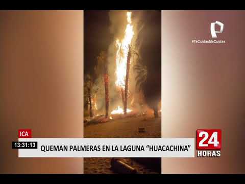Ica: siete palmeras de la ‘Laguna de la Huacachina’ se incendiaron