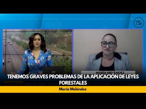 María Meléndez: Tenemos graves problemas de la aplicación de leyes forestales