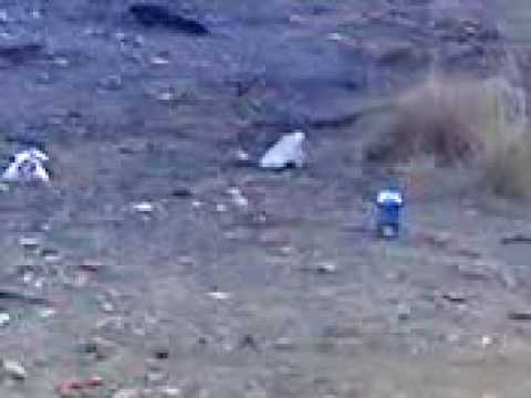 BIG BOMBS IN EP [830]