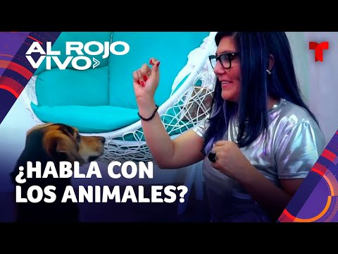 Mujer asegura que tiene el don de comunicarse con los animales en Colombia y revela secretos