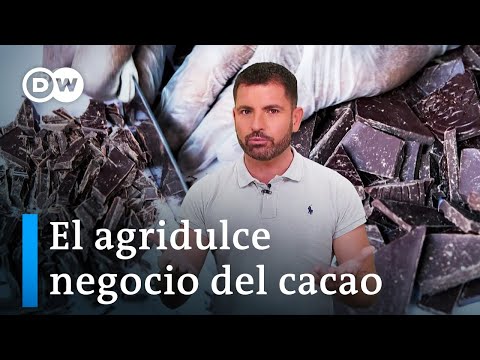 Cacao ecuatoriano vs. chocolate alemán