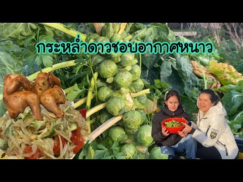 รอเปิดของขวัญหนาวๆแบบนี้กระหล