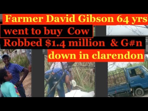 Farmer David Gibson 64yr, went to buy Cow, Robbed $1.4 Mil, set up- G#n down and K!LL in Clarendon
