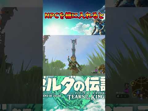 NPCを箱に入れると #ティアキン