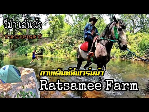 ไปเป็นคาวบอยที่รัศมีฟาร์ม-Rats ไปเป็นคาวบอยที่รัศมีฟาร์ม-Rats