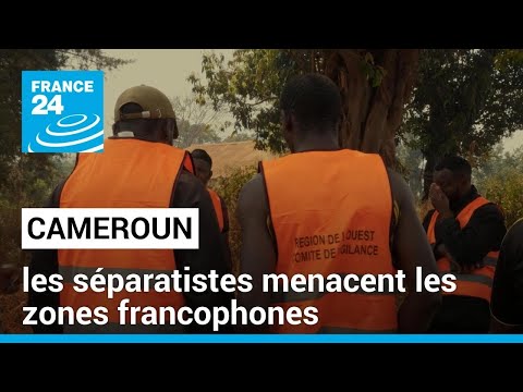 Violence au Cameroun : les séparatistes menacent les zones francophones • FRANCE 24