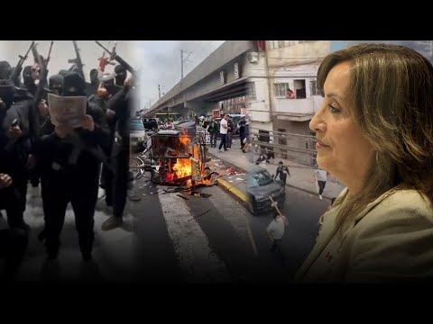 Presidenta Boluarte sobre el crimen organizado: La delincuencia no atemorizará más