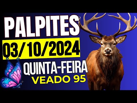 Palpites Do Dia 03/10/2024 | TODAS AS LOTERIAS