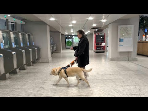 JO: Bernadette, aveugle, et sa chienne testent l'accessibilité des transports vers les sites | AFP