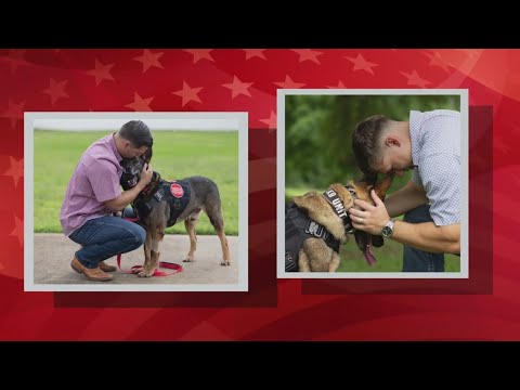 Military dog and marines reunited after two years apart