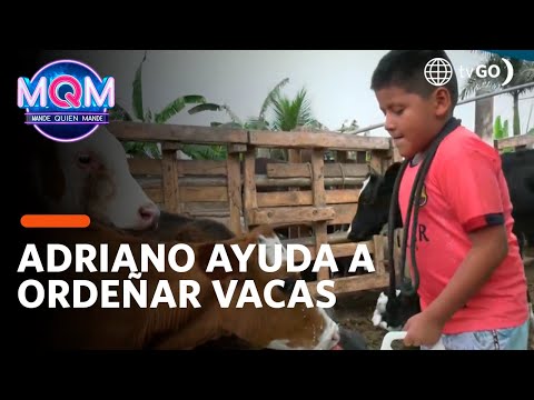 Mande Quien Mande: Adriano ayuda a su madre en las tareas del hogar  (HOY)