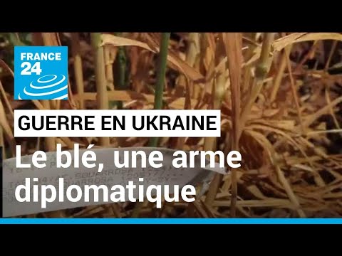 Guerre en Ukraine : le blé, une arme diplomatique pour la Russie • FRANCE 24