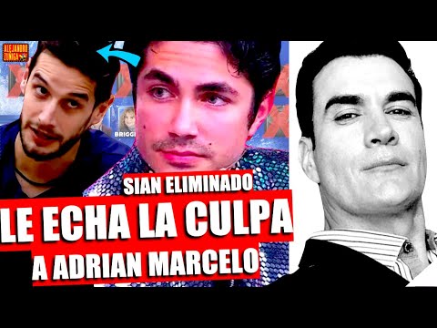 SIAN LE ECHA LA CULPA A ADRIAN MARCELO CHISME DAVID ZEPEDA