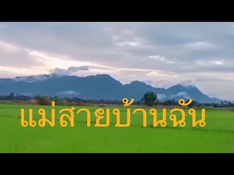 คิดถึงและห่วงใยแม่สายบ้านฉัน คิดถึงและห่วงใยแม่สายบ้านฉัน